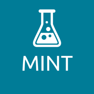 Read more about the article MINT