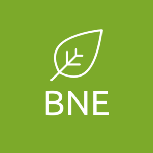 Read more about the article BNE